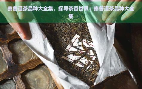 泰普洱茶品种大全集，探寻茶香世界：泰普洱茶品种大全集