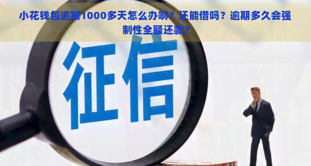 小花钱包逾期1000多天怎么办啊？还能借吗？逾期多久会强制性全额还款？