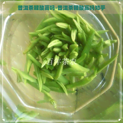 普洱茶鞣酸高吗-普洱茶鞣酸高吗知乎