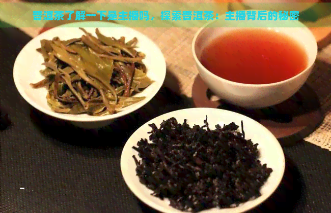 普洱茶了解一下是主播吗，探索普洱茶：主播背后的秘密