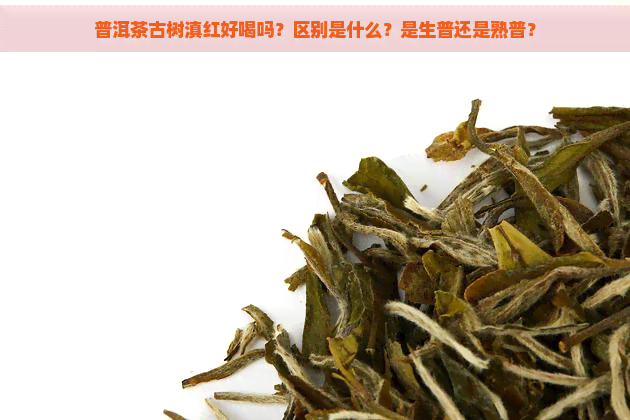 普洱茶古树滇红好喝吗？区别是什么？是生普还是熟普？