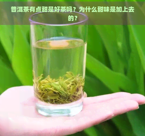 普洱茶有点甜是好茶吗？为什么甜味是加上去的？