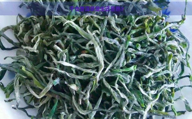 干仓普洱茶是生还是熟？