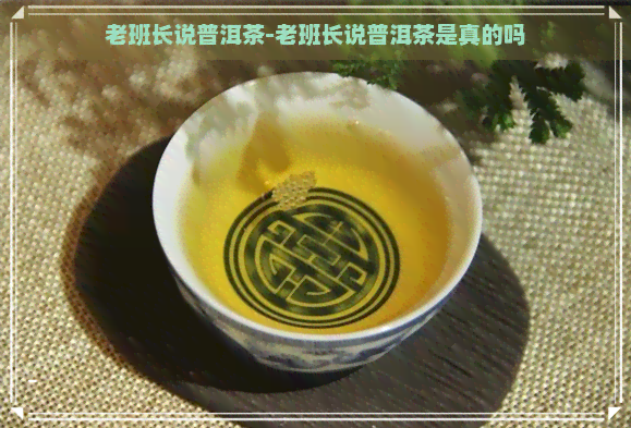 老班长说普洱茶-老班长说普洱茶是真的吗