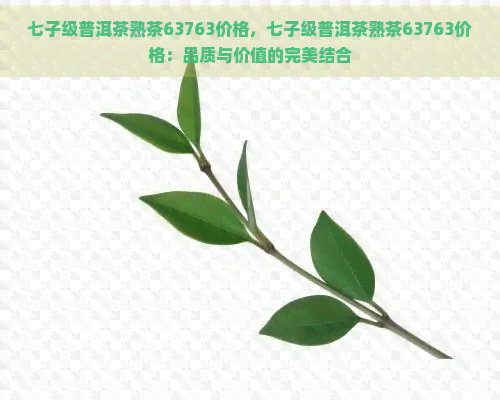 七子级普洱茶熟茶63763价格，七子级普洱茶熟茶63763价格：品质与价值的完美结合