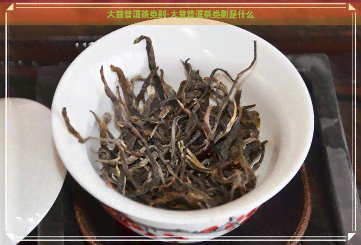 大益普洱茶类别-大益普洱茶类别是什么