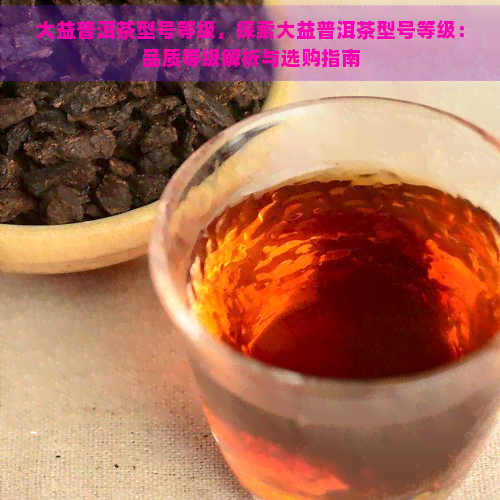 大益普洱茶型号等级，探索大益普洱茶型号等级：品质等级解析与选购指南