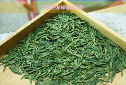 普洱茶怎样保成红茶