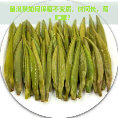 普洱茶如何保藏不变质，时间长，藏，贮藏？