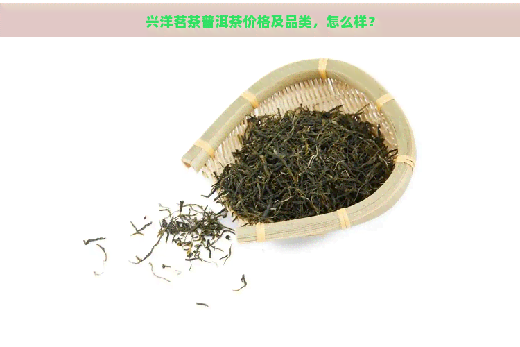 兴洋茗茶普洱茶价格及品类，怎么样？