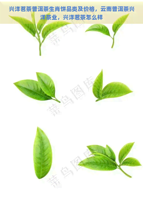 兴洋茗茶普洱茶生肖饼品类及价格，云南普洱茶兴洋茶业，兴洋茗茶怎么样