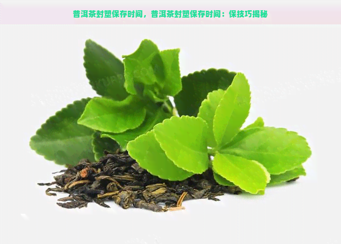 普洱茶封塑保存时间，普洱茶封塑保存时间：保技巧揭秘