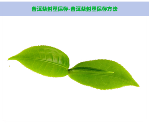 普洱茶封塑保存-普洱茶封塑保存方法