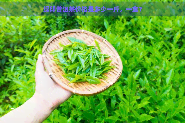 绿印普洱茶价格是多少一斤，一盒？