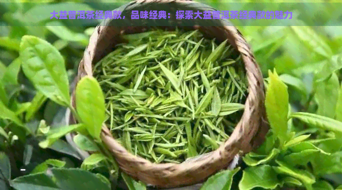 大益普洱茶经典款，品味经典：探索大益普洱茶经典款的魅力