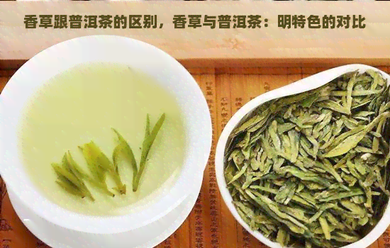 香草跟普洱茶的区别，香草与普洱茶：明特色的对比