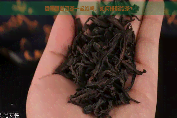 香草跟普洱茶一起泡吗，如何搭配泡茶？