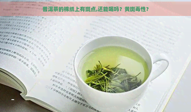 普洱茶的棉纸上有斑点,还能喝吗？黄斑性？