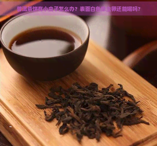 普洱茶饼有小虫子怎么办？表面白色像虫卵还能喝吗？