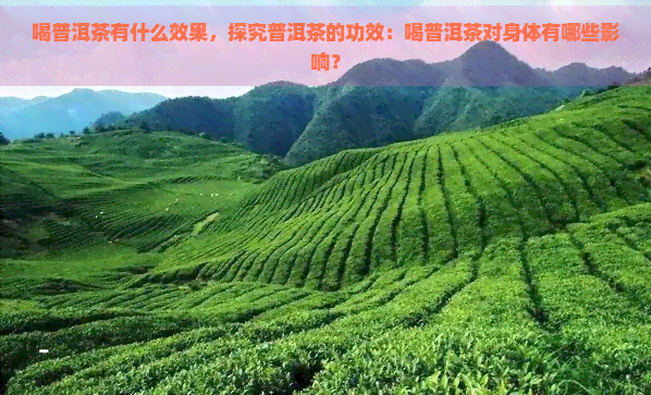 喝普洱茶有什么效果，探究普洱茶的功效：喝普洱茶对身体有哪些影响？