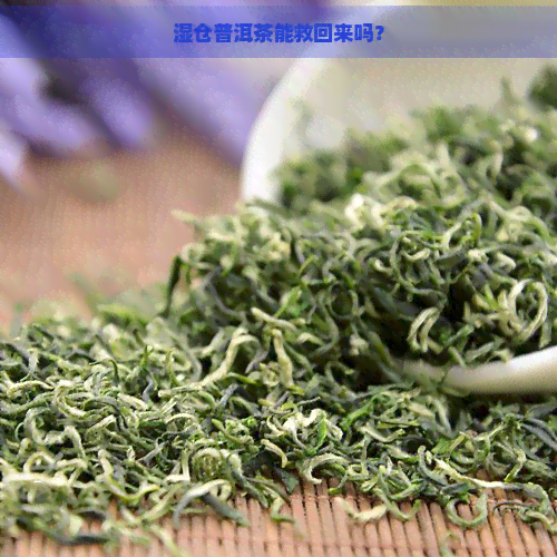 湿仓普洱茶能救回来吗？