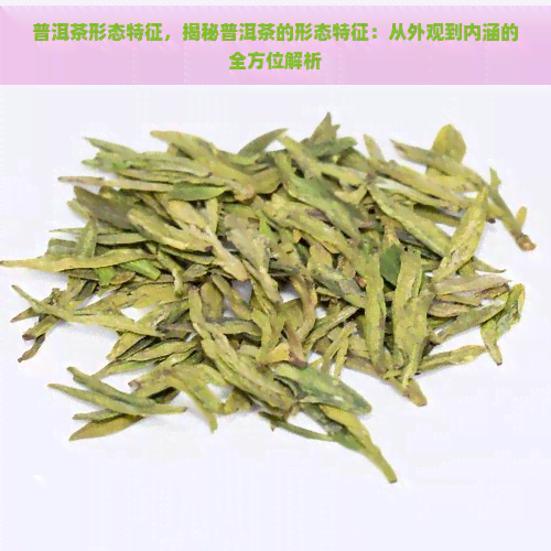 普洱茶形态特征，揭秘普洱茶的形态特征：从外观到内涵的全方位解析