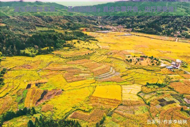 孟定到临沧车票，「孟定到临沧」直达车票开售，出行更便捷！