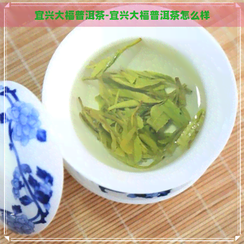 宜兴大福普洱茶-宜兴大福普洱茶怎么样