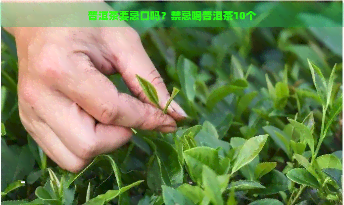 普洱茶要忌口吗？禁忌喝普洱茶10个