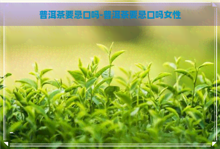 普洱茶要忌口吗-普洱茶要忌口吗女性