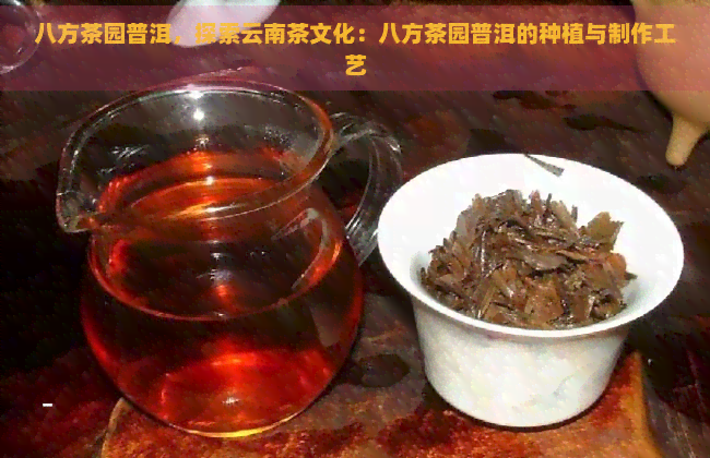 八方茶园普洱，探索云南茶文化：八方茶园普洱的种植与制作工艺