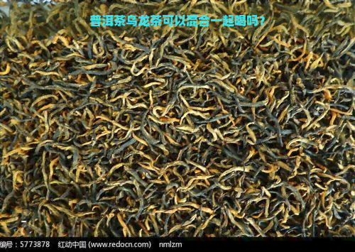 普洱茶乌龙茶可以混合一起喝吗？