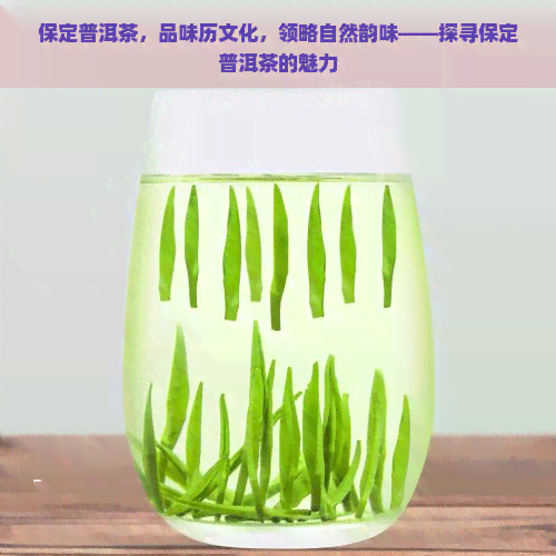 保定普洱茶，品味历文化，领略自然韵味——探寻保定普洱茶的魅力