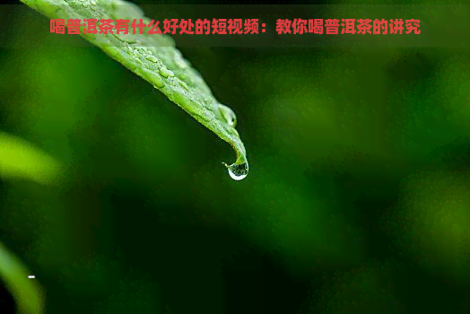 喝普洱茶有什么好处的短视频：教你喝普洱茶的讲究