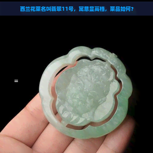 西兰花菜名叫翡翠11号，寓意显高档，菜品如何？