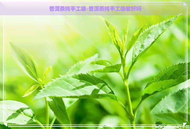 普洱茶纯手工袋-普洱茶纯手工袋装好吗