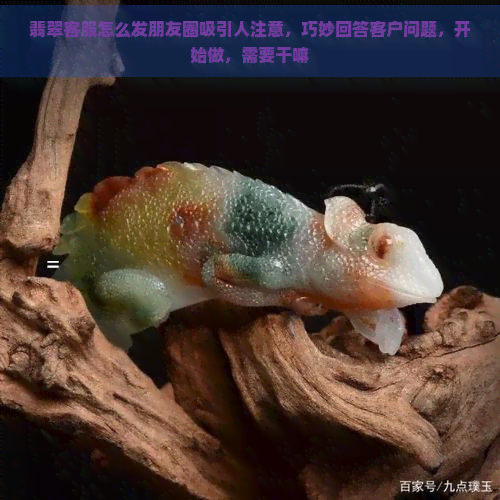 翡翠客服怎么发朋友圈吸引人注意，巧妙回答客户问题，开始做，需要干嘛