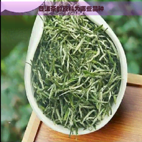 普洱茶的原料为哪些品种