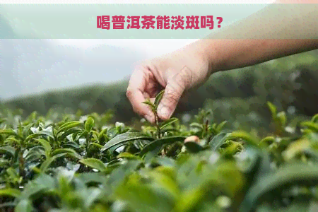 喝普洱茶能淡斑吗？