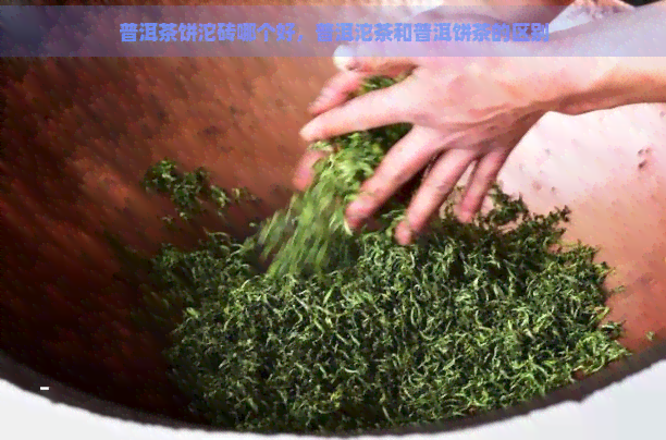 普洱茶饼沱砖哪个好，普洱沱茶和普洱饼茶的区别