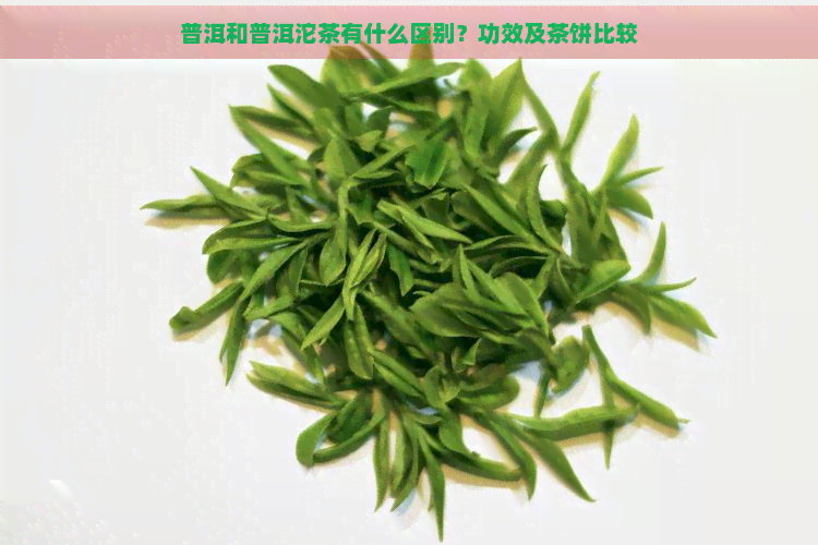 普洱和普洱沱茶有什么区别？功效及茶饼比较