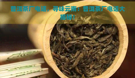 普洱茶厂电话，寻味云南：普洱茶厂电话大揭秘！