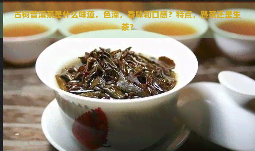 古树普洱茶是什么味道，色泽，香味和口感？特点，熟茶还是生茶？