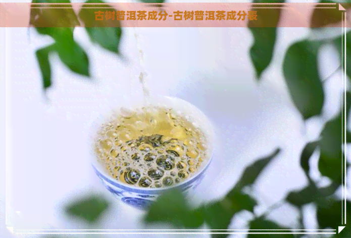 古树普洱茶成分-古树普洱茶成分表