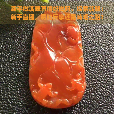 新手做翡翠直播好做吗，探索翡翠：新手直播，易如反掌还是崎岖之路？