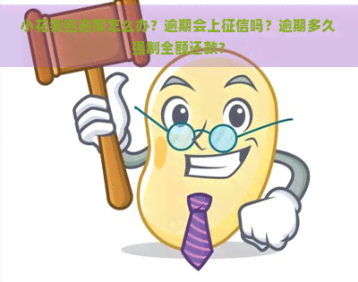 小花钱包逾期怎么办？逾期会上吗？逾期多久强制全额还款？