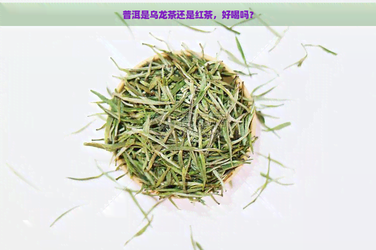 普洱是乌龙茶还是红茶，好喝吗？