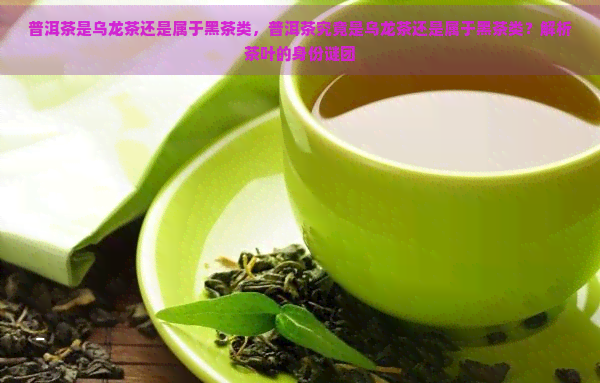 普洱茶是乌龙茶还是属于黑茶类，普洱茶究竟是乌龙茶还是属于黑茶类？解析茶叶的身份谜团