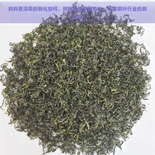 纯料普洱茶的转化如何，纯料普洱茶的转化：探索茶叶行业的新趋势