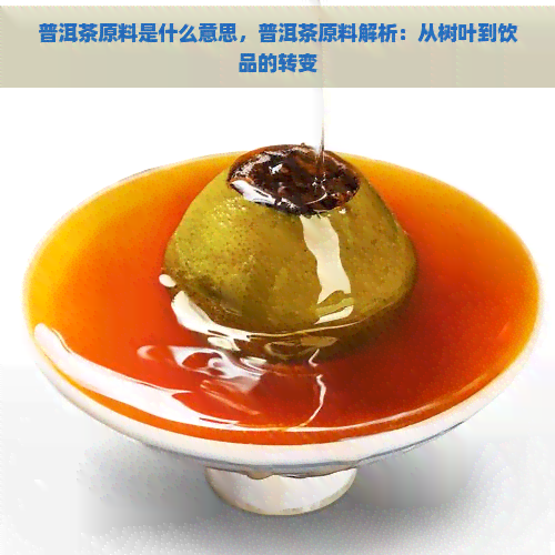 普洱茶原料是什么意思，普洱茶原料解析：从树叶到饮品的转变